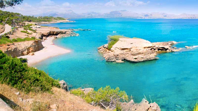 visit s'illot from sa coma