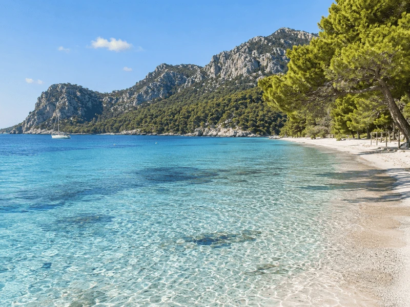 Playa de Formentor con pinos y aguas transparentes en el norte de Mallorca