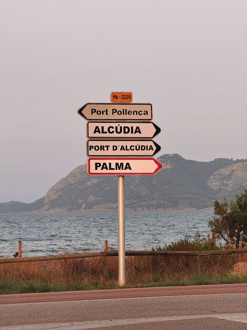 Alcudia