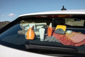 Traveling by Car