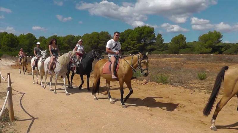 Besuch der Ranch von Sa Coma