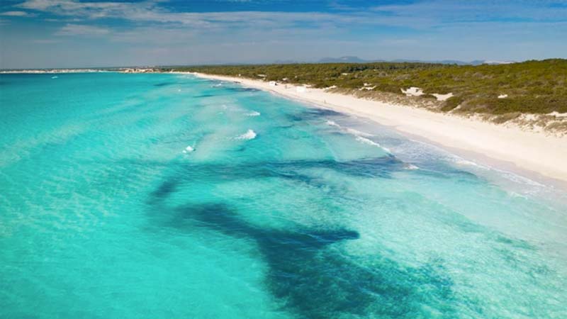 playa de Es Trenc que hacer en santanyi