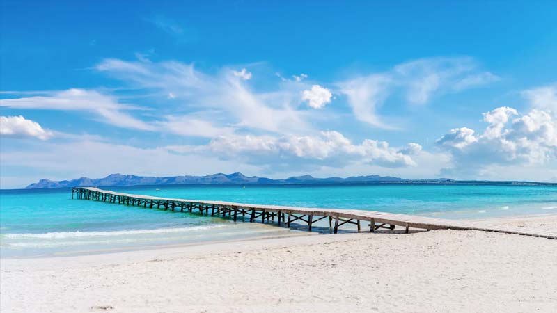 playas de alcudia mallorca