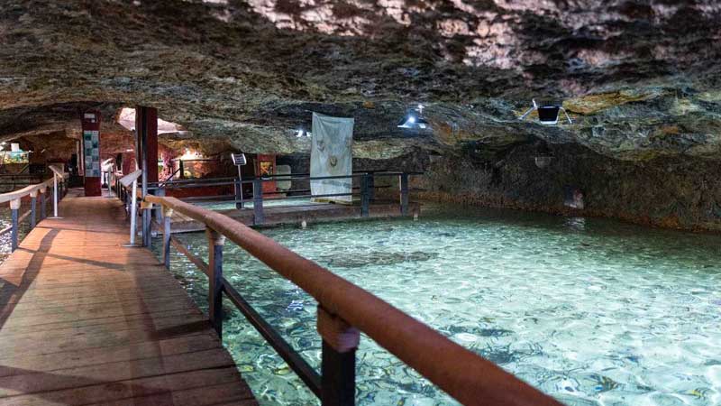 visit Cap Blanc Aquarium with children in Ibiza