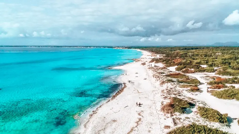 visit es trenc beach mallorca