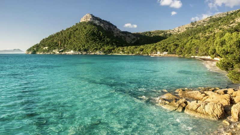 playas en pollensa